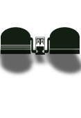 Pulsante 8